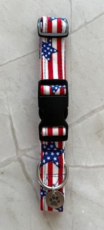 Patriotic Puppy Parade Dog Collar